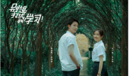 校园的电视剧爱情青春偶像剧,爱在花开时