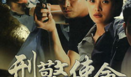 关于刑警的电视剧,破案风云录